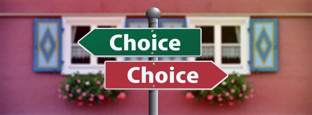 choose a job you love or one that pays